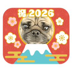 Luckey_20251215170520