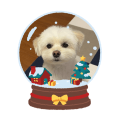 ALICE_20251216084935