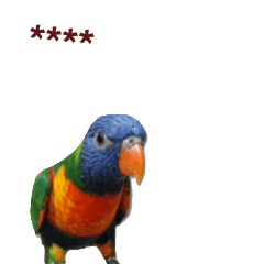 TBRA Interesting words PART5