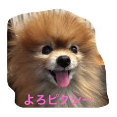 Harami_20251215181010