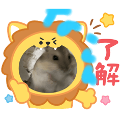 hinata_20251215175955