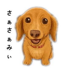 hinata_20251215181253