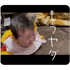 fujimon_20251216003415