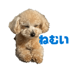 chihiro_20251215192755