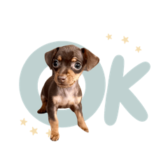 nonnoon_20251216112148