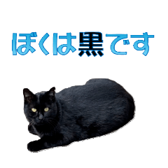 TAKASHI_20251216113528