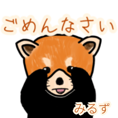 Miruzu's lesser panda
