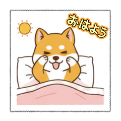 ostrich_20251216110421