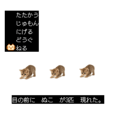 Mary rose25_20251216122947