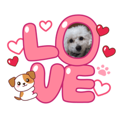 family_20251215210126