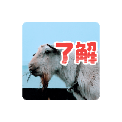 Atu20_202512161325021