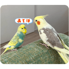 Ayaka_20251215214200