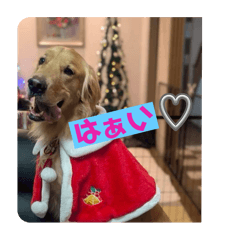 eren0124_20251215213948