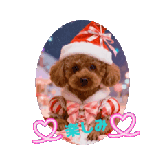 chi.louis.migi_20251216112037