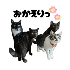 uuchan_20251215215018