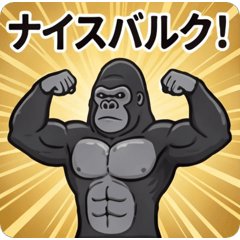 Macho Animals: Workout & Gym