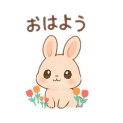 hochan_20251215215209