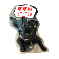 Law bucket