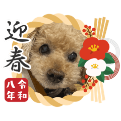 maronchan_20251216144338