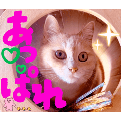 Mochioba_20251216160037