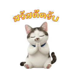 yokung0219_20251216091003