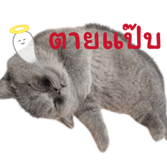 Piano_20251216095245