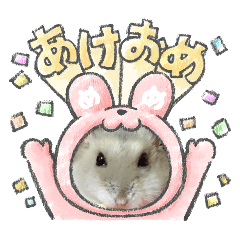 hiromi_20251216163425