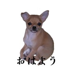 HARUKA_20251215233300