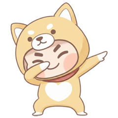 Shiba Inu with a round head (no tex)