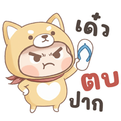 Shiba Inu with a round head