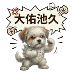 錢哥 & 台日諧音梗