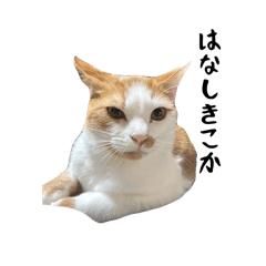 Neko world_20251214172618