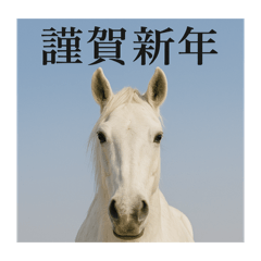 hitomin_20251214160347