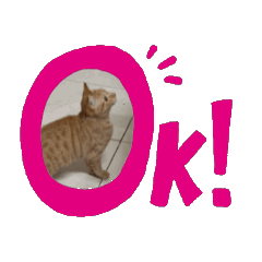 Ru家貓貓 日常篇