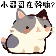 幹話貓球♥撩漢特輯