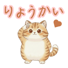 Daily Life of a Round Tabby