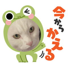 ruppi_20251215233216