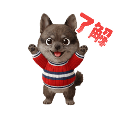 PomeShiba like Tanuki