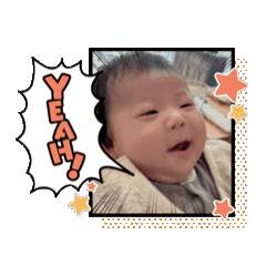 hachico_20251216204817