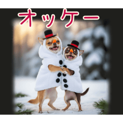 PAKAMOGOLY_20251216163110