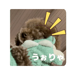 naochan_20251217015601