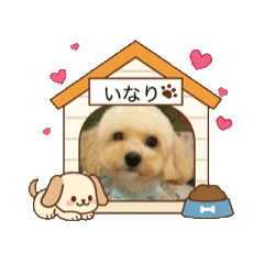 INARI_20251216224028