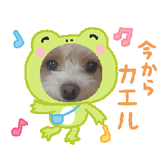 KAORI_20251217062534