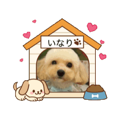 INARI_20251217065838