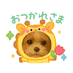 KAORI_20251217062841