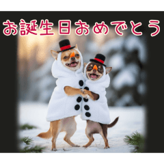 PAKAMOGOLY_20251216165031