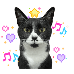 2025雲寶小波日常ver3