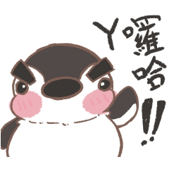 【胖鵝的日記】