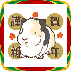 Guineapigholiday2026