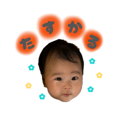 su_hi_20251216194142